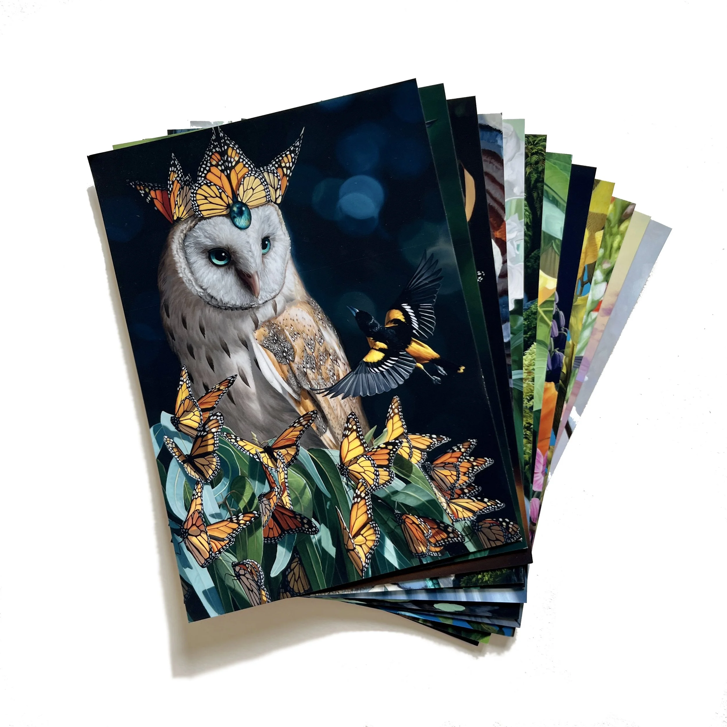 Shop — Jon Ching Art